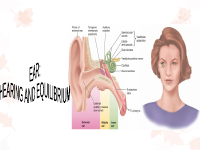 Ear and eye physiology.pptx